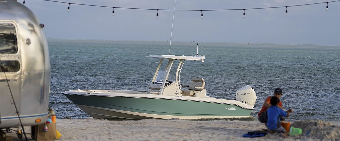 Boston Whaler 250 Dauntless