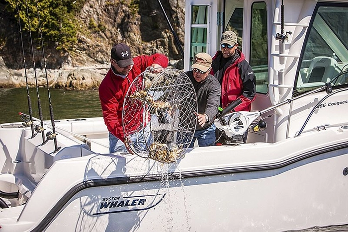 Boston Whaler 285 Conquest Pilothouse