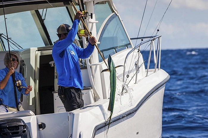 Boston Whaler 345 Conquest