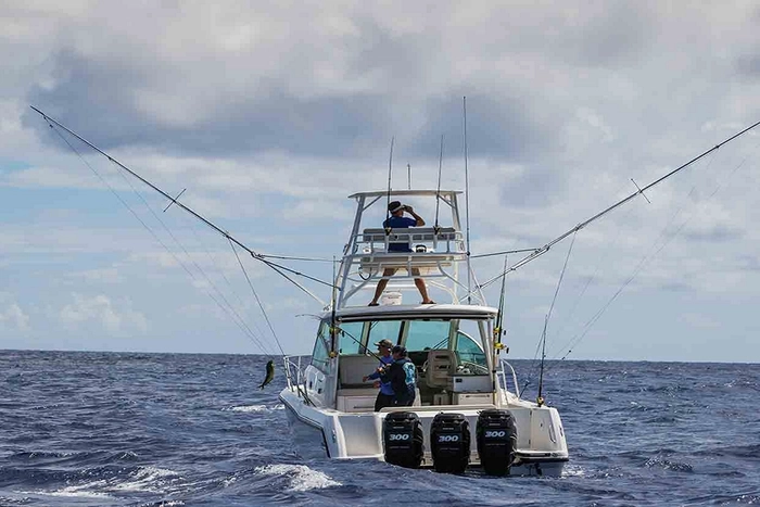 Boston Whaler 345 Conquest