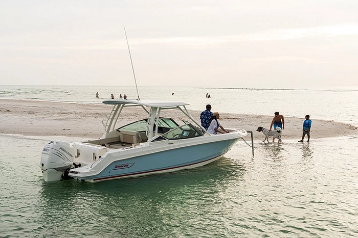 Boston Whaler 240 Vantage