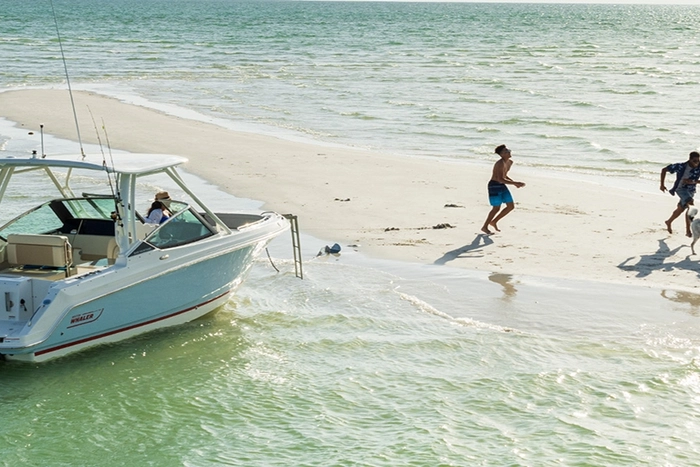 Boston Whaler 240 Vantage