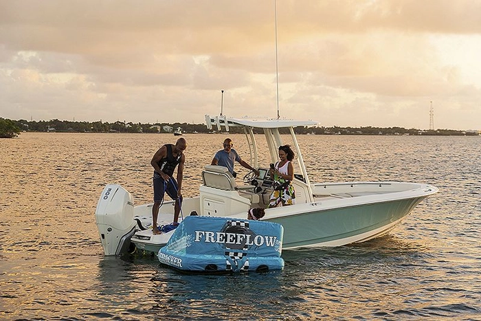 Boston Whaler 250 Dauntless