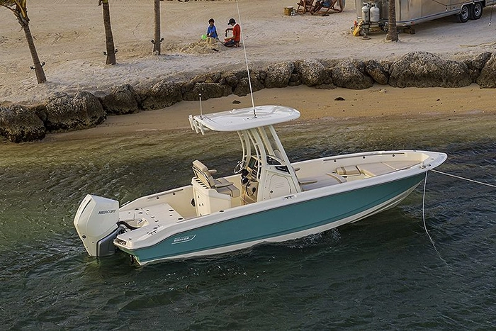 Boston Whaler 250 Dauntless