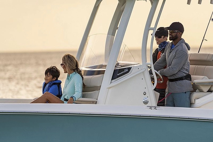 Boston Whaler 250 Dauntless