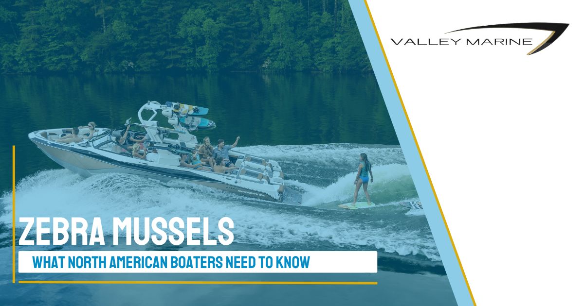 What North American Boaters Need to Know About Zebra Mussels
