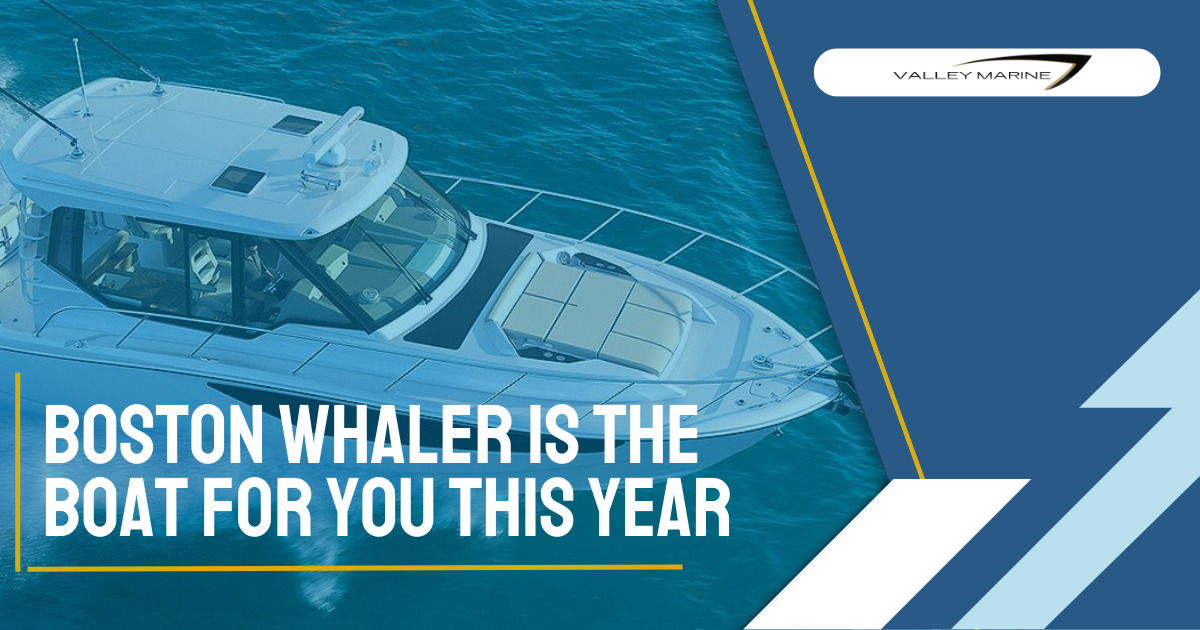 Why to buy a Boston Whaler in 2023